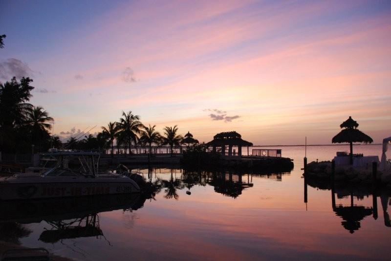 Amy Slate's Amoray Dive Resort